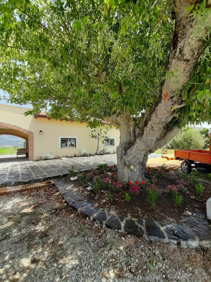 Bed and breakfast Tenuta San Michele Capaccio