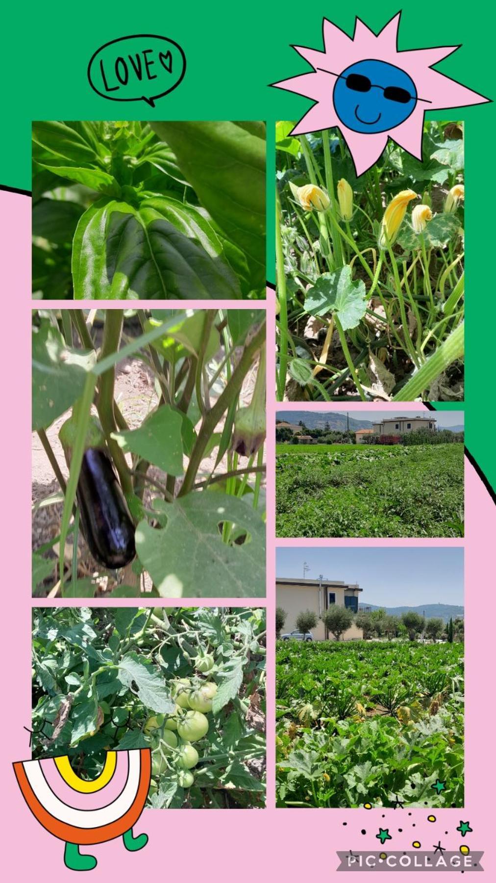 Frühstückspension Tenuta San Michele