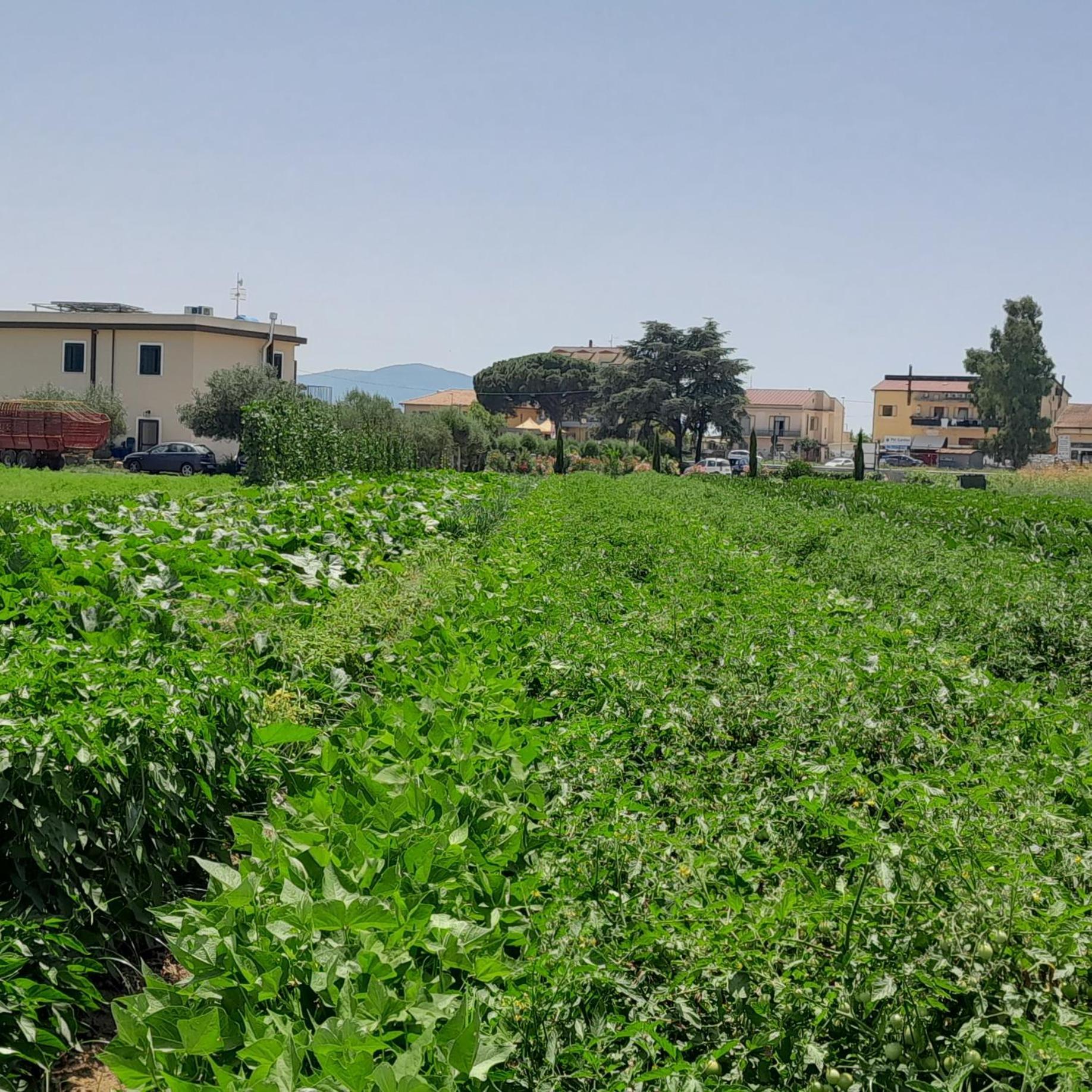 Bed and breakfast Tenuta San Michele